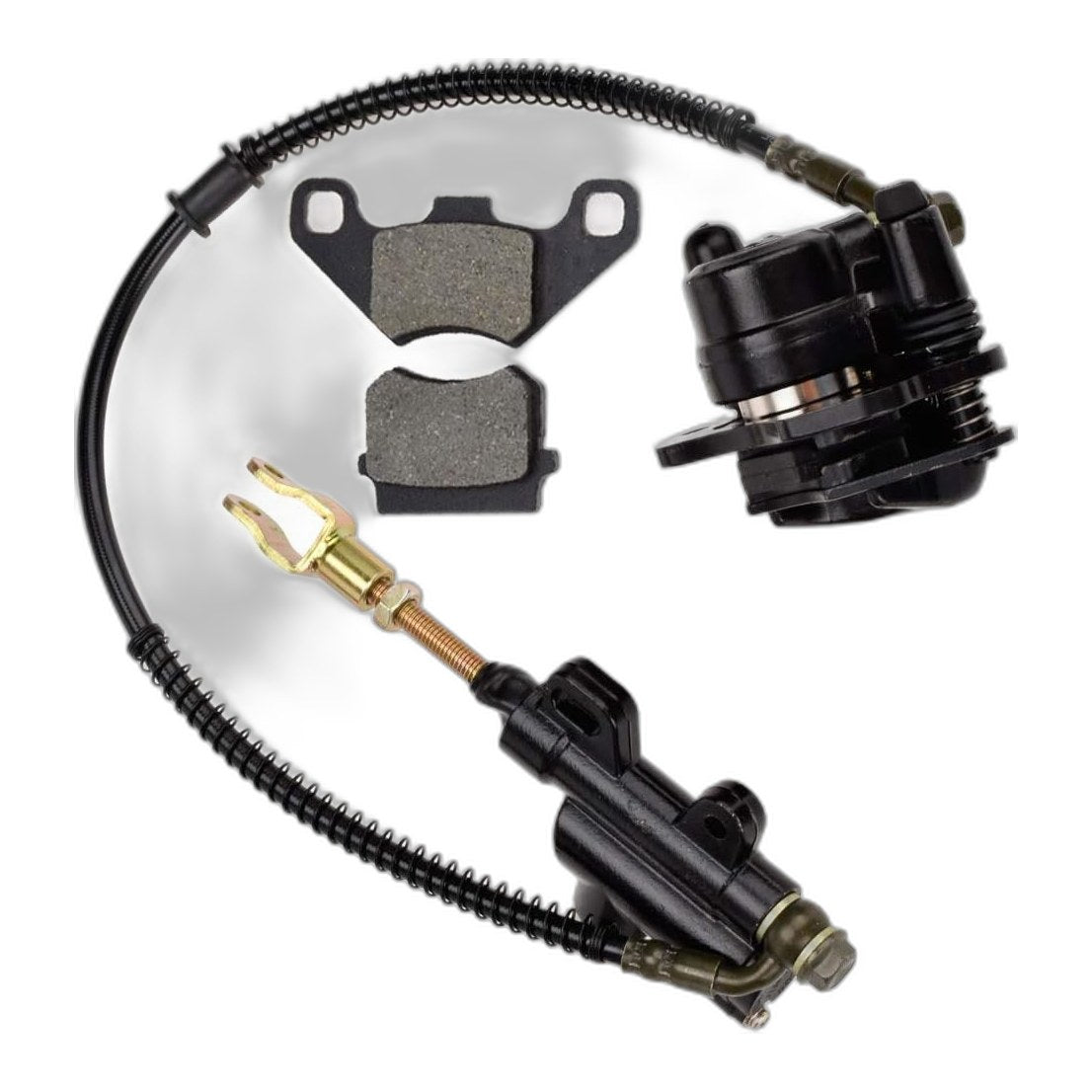 Rear Disc Brake Master Cylinder Caliper Assembly Tao Coolster 125cc 110cc