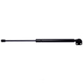 Strong Arm Lift Support OEM D4554