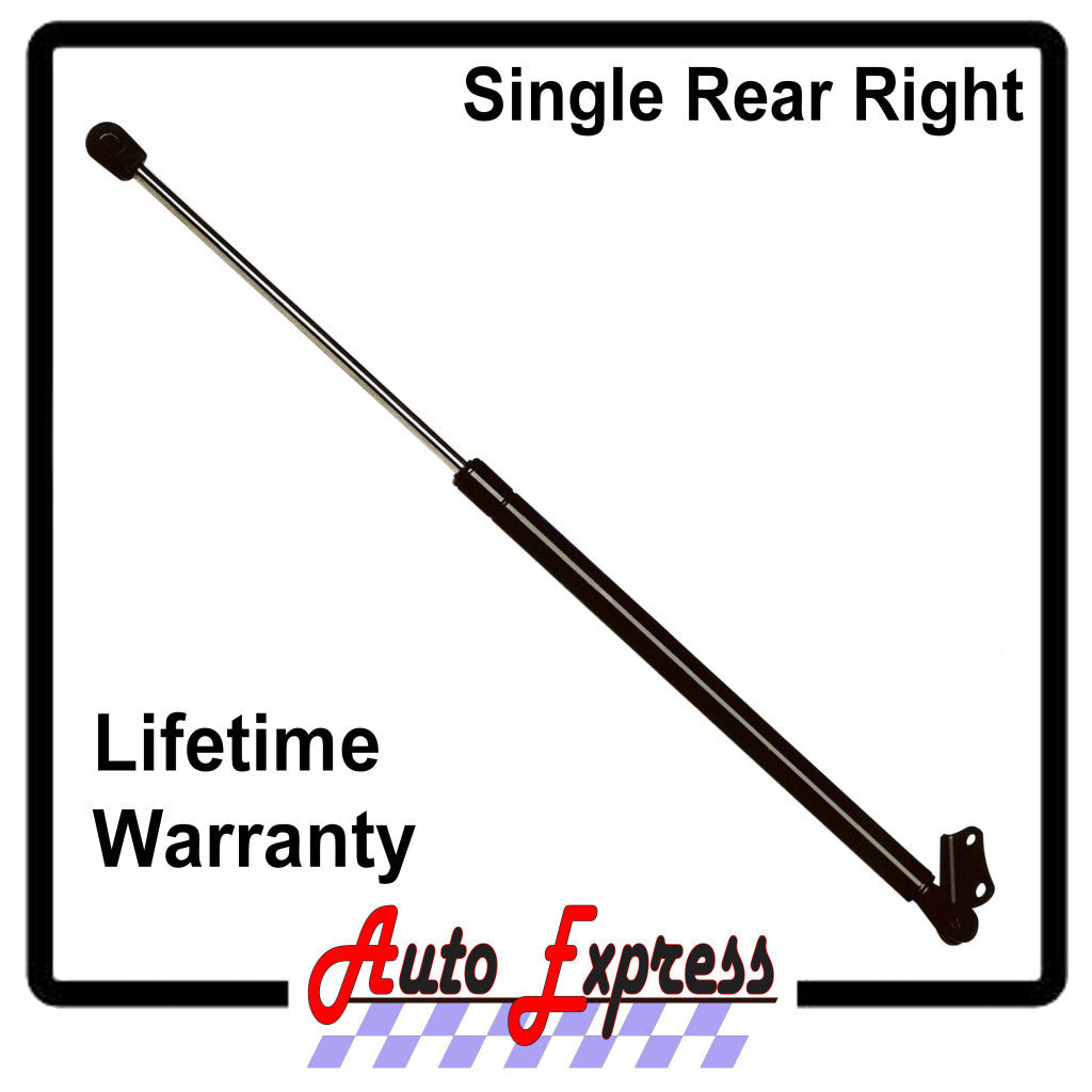 Strong Arm Lift Support OEM D6509R