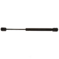 Strong Arm Lift Support OEM D6107