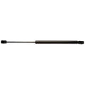 Strong Arm Lift Support OEM D4526