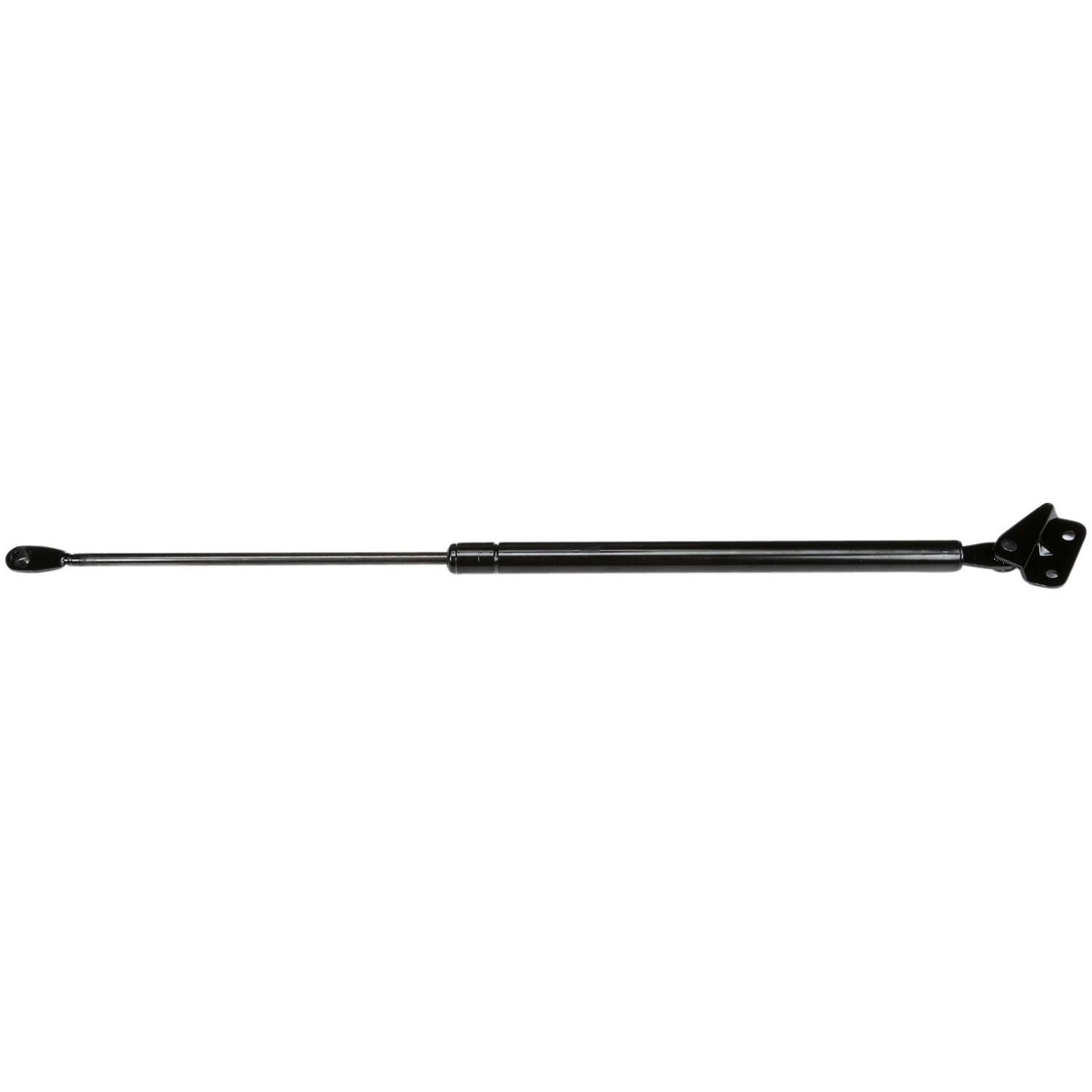 Strong Arm Lift Support OEM C6213